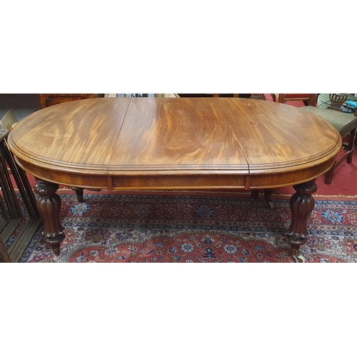 457 - A really good Victorian Mahogany single leaf D-End Dining Table with tulip and reeded supports with ... 