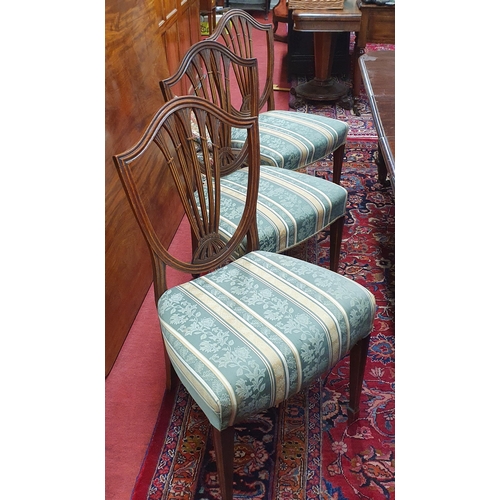 971 - A good set of late 19th early 20th Century Mahogany Hepplewhite style  Dining Chairs with pierced sw... 