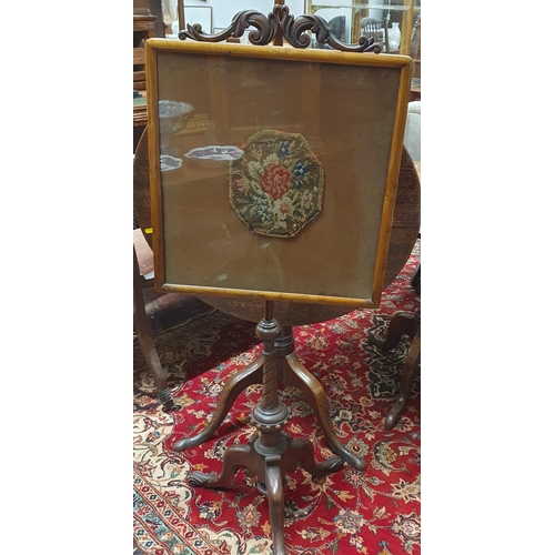 30 - A 19th Century Walnut Pole Screen with tripod and turned supports.  H 135 x W 50 x 50 cm approx.