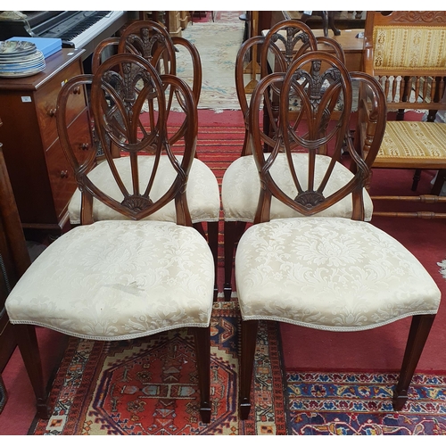 66 - A good modern set of four Mahogany Hepplewhite style Dining Chairs with square reeded front supports... 