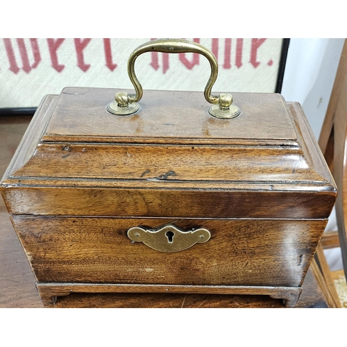 444 - A Georgian Mahogany Sarcophagus shape Tea Caddy. W 22 x 13 x H 15 cm approx.