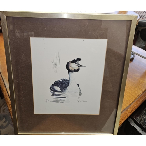 473 - A good pair of 20th Century limited edition coloured Prints of Birds after Rex Flood. Signed LR.