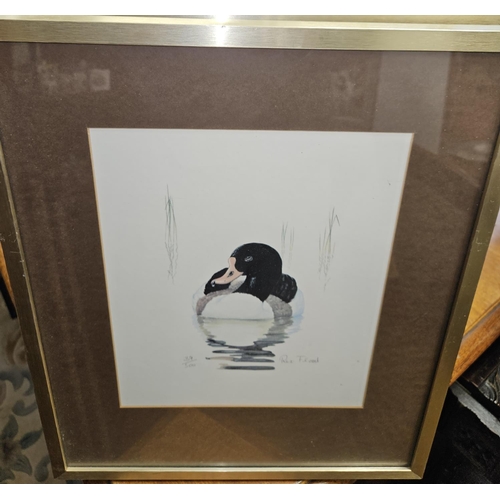 473 - A good pair of 20th Century limited edition coloured Prints of Birds after Rex Flood. Signed LR.