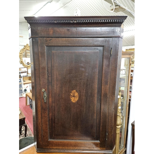 602 - An early 19th Century Oak wall mounted Corner Cabinet with shell inlaid panel door. W 82 x 50 x H 10... 