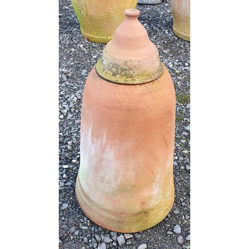 1101 - A Terracotta Rhubarb Forcer H 62 x D 34 cm approx.