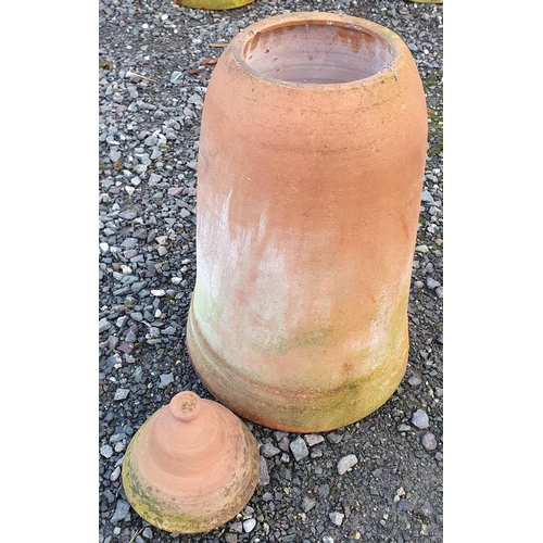 1101 - A Terracotta Rhubarb Forcer H 62 x D 34 cm approx.