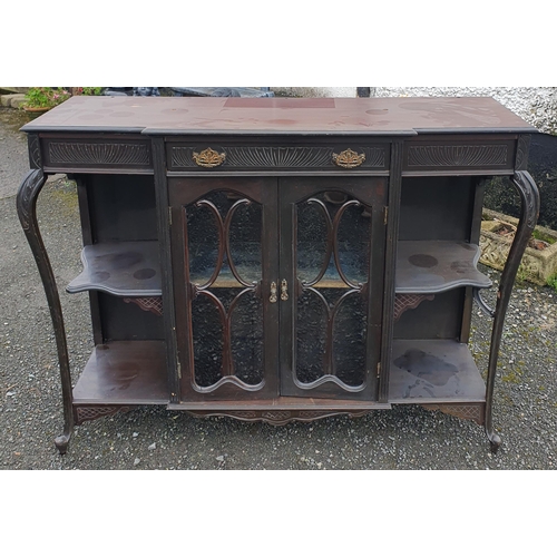 1147 - A 19th Century Display Cabinet.