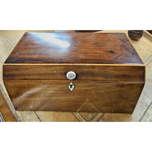 1076 - A Regency Mahogany and inlaid tea Caddy. 30 x 14 x H 15 cm approx.