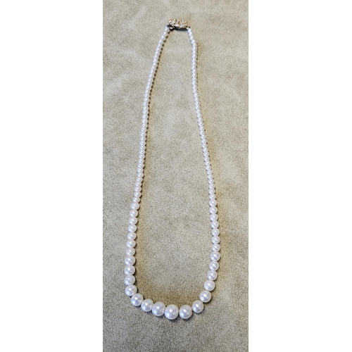 428 - A good Cultured Pearl Necklet by Lotus.