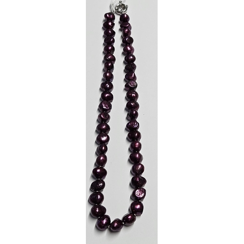 277 - A Purple cultured Pearl Necklet with a Silver clasp.