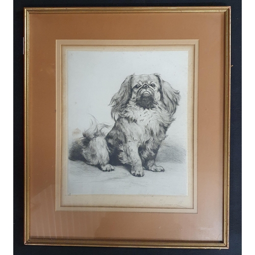 833 - A signed limited edition Print of a dog. Signed in the margin. 48 x 41 cm approx.