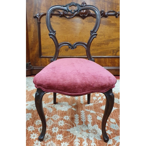 73 - A 19th Century solid Rosewood showframe Salon Chair on carved cabriole front supports. W 48 x SH 43 ... 