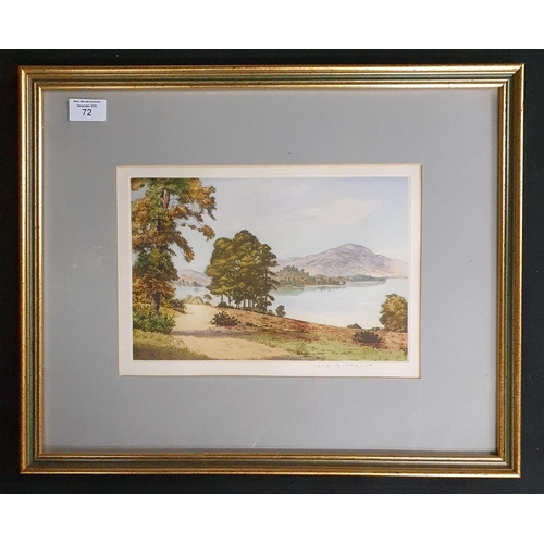 72 - An early 20th Century coloured Print of a tranquil lake scene. 38 x 46 cm approx.