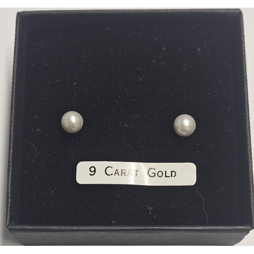 341 - A pair of 9ct Gold and Pearl Earrings.