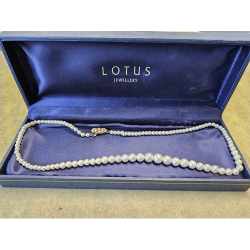 428 - A good Cultured Pearl Necklet by Lotus.