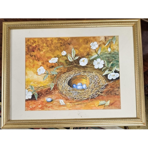 684 - A 20th Century Watercolour of eggs in a nest. By A C Badman signed LR. 25 x 30 cm approx.