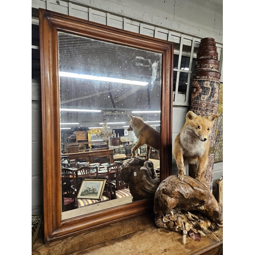 742 - A large 19th Century rectangular Walnut framed Mirror possibly a pub mirror. Can work Portrait and L... 