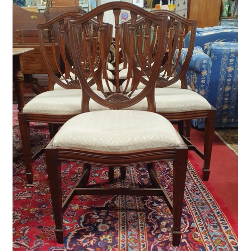 802 - A good set of ten Hepplewhite style Mahogany Chairs with ribbed backs on square tapered supports and... 