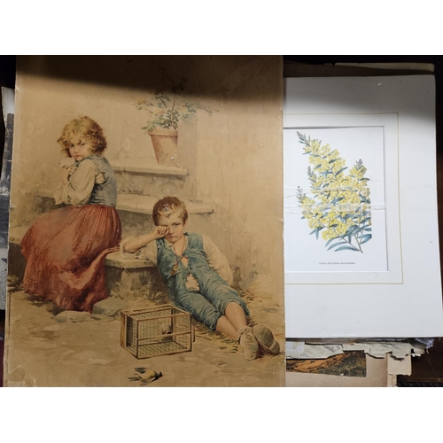 821 - A really good Folio of 19th Century and later of Watercolours and other Pictures.