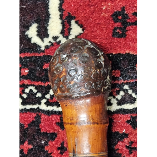 912A - A really good 19th Century Walking Cane with highly carved shaft and burr walnut knotted top.