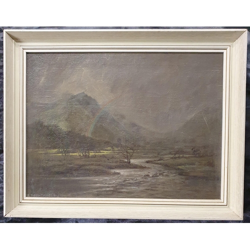 1005 - E Rees Davies. A 20th Century Oil on Canvas of a Welsh river scene with a rainbow. Signed LL. 29 x 3... 