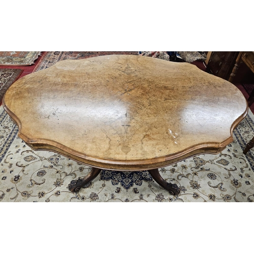 465 - An impressive 19th Century Walnut and Burr Walnut Centre Table of large size with a carved scissors ... 