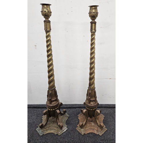 725 - A fabulous pair of tall 19th Century Brass Candlesticks. H 98 cm approx.