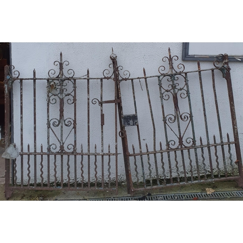 811 - A Really good pair of 19th Century Wrought Iron Gates. H 173 x W 262 cm approx.