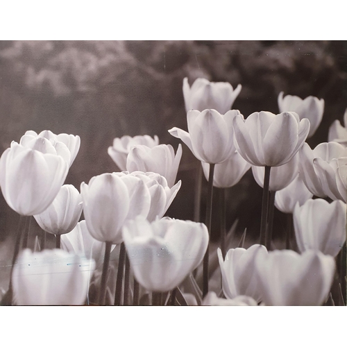 167 - A large Oleograph Print of Tulips. 89 x 115 cm approx.