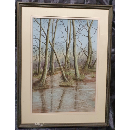 184 - A 20th Century Pastel of a wooded scene by S Ashby. Signed LL. 50 x 35 cm approx.