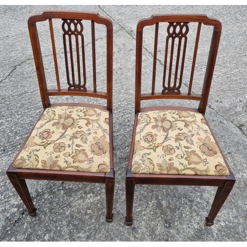 212 - A lovely pair of Edwardian Mahogany Chairs with tapestry style fabric.