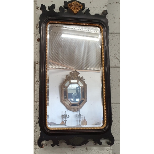 451 - A 19th Century Ebonised and Gilt Pier style Mirror with bevelled mirror glass. 80 x 41 cm approx.