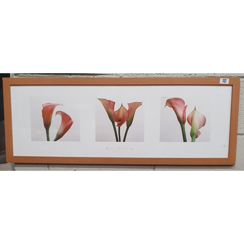 512 - A Print of three lilies by Bill Phillips.