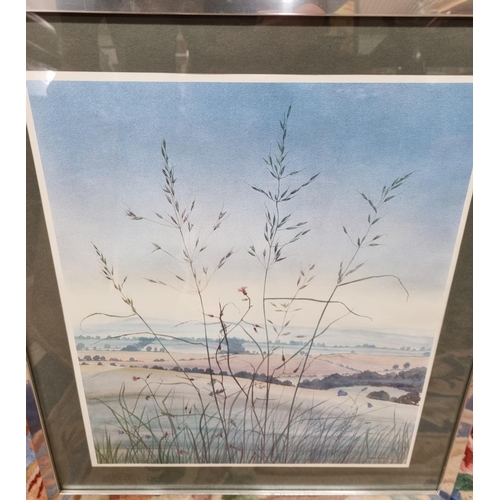 517 - A coloured Print of Grasses.