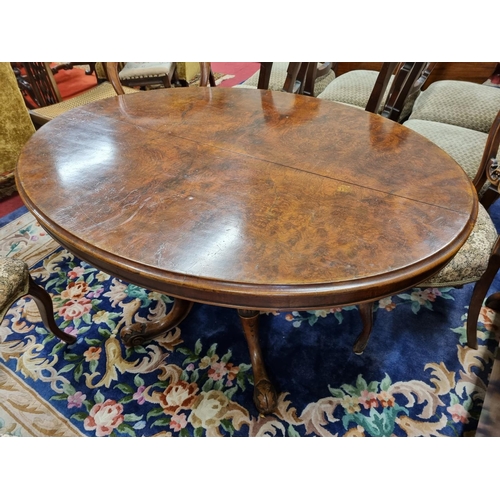 615 - A good mid 19th Century Walnut and Burr Walnut oval Centre Table with lovely carved moulded quadrupl... 