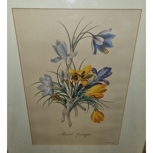 672 - A 19th Century coloured Print still life of flowers. 35 x 24 cm approx.