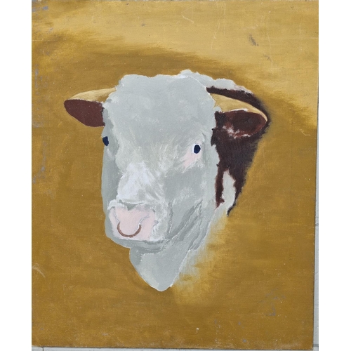 679 - A 20th Century Oil on Canvas head of a Bull. No apparent signature. 61 x 50 cm approx.