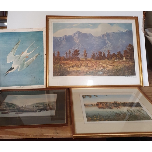 747 - A Large quantity of Framed Pictures.