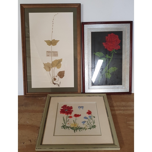 749 - A quantity of Framed mixed Art ,various mediums and dates.