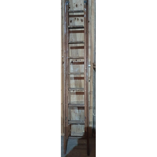 883 - A Vintage Timber extendable Ladder .