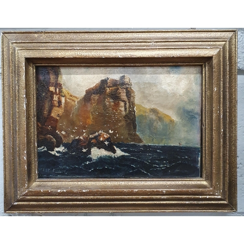 4 - A 19th Century Oil On Canvas of a rugged coastline with birds in flight. No apparent signature. 17 x... 