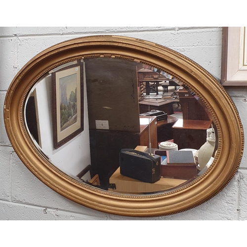 48 - A late 19th Century Plaster Gilt oval Mirror with bevelled mirror glass. 88 x 62 cm approx.