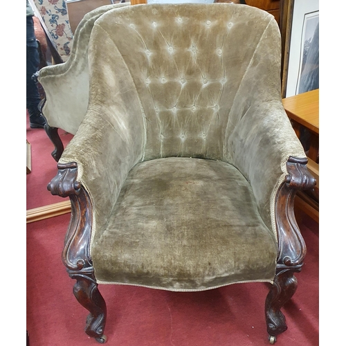 56 - An early 19th Century Mahogany show framed Tub Chair with deep buttoned upholstered back an carved c... 