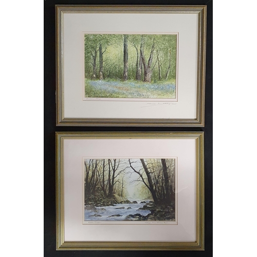 6 - Norman D. Whiting; Two 20th Century Watercolours one 'Bluebell Path' the other 'The River Dart' both... 
