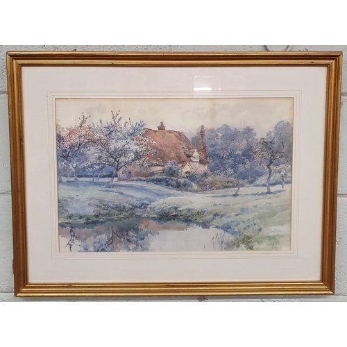 88 - A 20th Century Watercolour of cottage scene with trees in full blossom, monogrammed C.M.D LR.
35 x 5... 