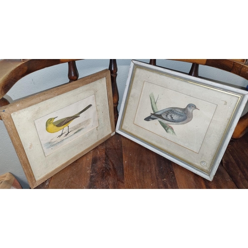 938 - Sold on behalf of charity as an uncollected item. Two 19th Century Bird Engravings.