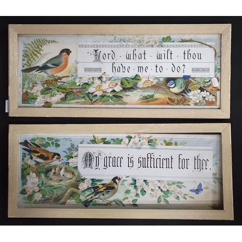 451 - Two coloured Prints depicting Bible sayings. 'Lord, what wilt thou have me do' and 'My grace is suff... 