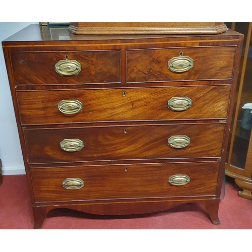 494 - A good Georgian Mahogany Chest of Drawers with brass oval ring handles. 102 x 48 x H 105 cm approx.