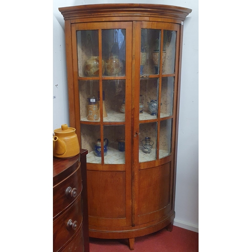 501 - A 19th Century Satin Birch Provincial Corner Cabinet. H 181 cm approx.