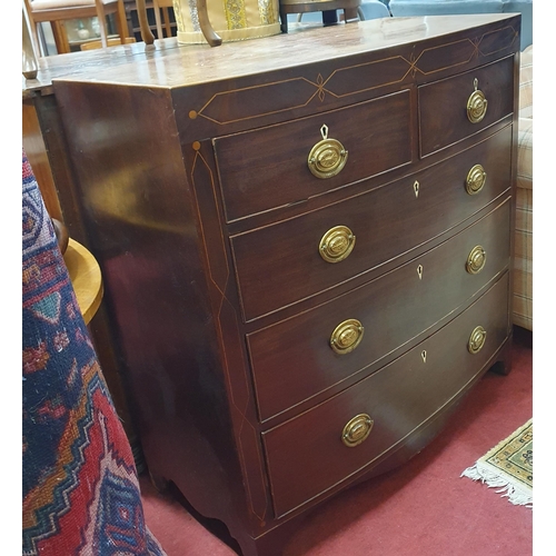 573 - Of Superb quality. An early 19th Century Mahogany and Inlaid bow fronted Chest of Drawers. 105 x 51 ... 